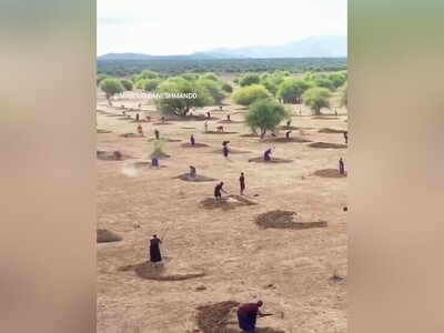 (ویدئو) اتحاد حیرت‌انگیز یک قبیله برای نجات محیط‌ زیست با نتیجه‌ای غیرقابل باور/ آفرین به این غیرت و همت