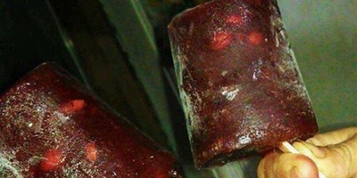 فیلم | مروری نوستالژیک بر خاطرات تابستانی با بستنی یخی‌های دهه 60 که تو هوای گرم حسابی می‌چسبید؛ یادش بخیر