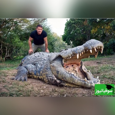 (ویدئو) ویژه علاقه مندان به مستند حیات وحش حیوانات/راز بقا:خونمون یه تمساح دارم که سگ ها مثل جن ازش میترسن/ میگی نه! بیا و ببین😱