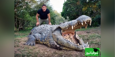 (ویدئو) ویژه علاقه مندان به مستند حیات وحش حیوانات/راز بقا:خونمون یه تمساح دارم که سگ ها مثل جن ازش میترسن/ میگی نه! بیا و ببین😱