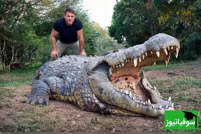 (ویدئو) ویژه علاقه مندان به مستند حیات وحش حیوانات/راز بقا:خونمون یه تمساح دارم که سگ ها مثل جن ازش میترسن/ میگی نه! بیا و ببین😱
