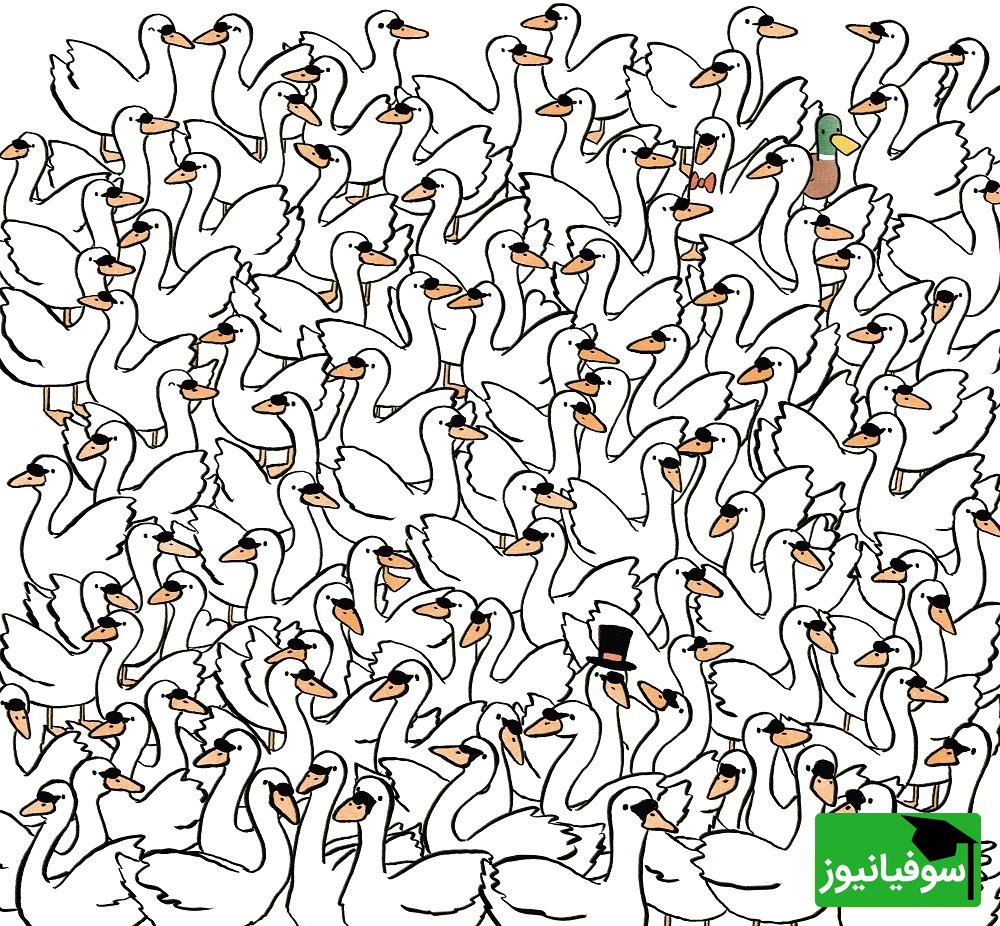 معمای تصویری