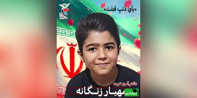 (ویدئو) تصاویر دیده‌نشده از لحظه شهادت دانش‌آموز قزوینی مهیار زنگنه در حیاط مدرسه