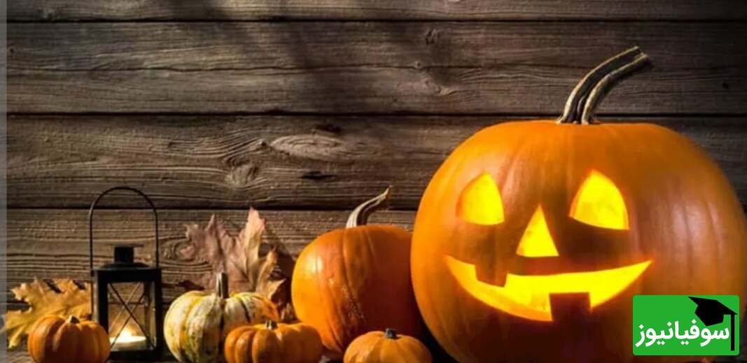 (عکس) هالووین به سبک دانشجویان تبریزی/ خفاش‌ها و تار عنکبوت‌ها سوژه شد 👌