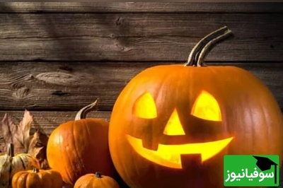(عکس) هالووین به سبک دانشجویان تبریزی/ خفاش‌ها و تار عنکبوت‌ها سوژه شد 👌