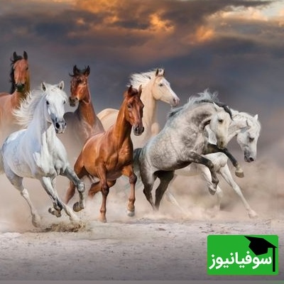 (ویدئو) این داستان کوتاه، انگیزه‌ای را بیدار می‌کند که سال‌ها گم کرده‌اید!