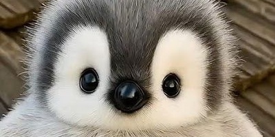 بازی فکری روز؛ اگه از هوش غنی هستی و همه بهت حسودی میکنن  زود بگو رئیس میسون از کجا فهمید اون دروغ میگه؟