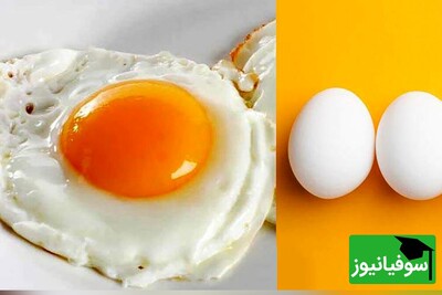 تولید تخم‌مرغ‌های حاوی اسیدفولیک با قابلیت جذب 95 درصدی در بدن