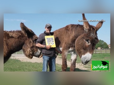 (ویدئو) ویژه علاقه مندان به مستند حیات وحش حیوانات:  بلندقدترین اُلاغ جهان که با رکورداری گینس از همه دنیا دلبری کرد