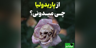 (تصاویر) چهره در ابرها، صورت در سنگ؛ چرا مغز ما عاشق دیدن چهره است؟ / نگاهی به پاریدولیا؛ پدیده‌ای جذاب و حیرت‌انگیز