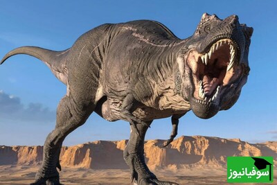 (ویدئو) تولید دایناسور از DNA تمساح!/ سوال ترسناک با جوابی ترسناک‌تر از رئیس پژوهشگاه رویان