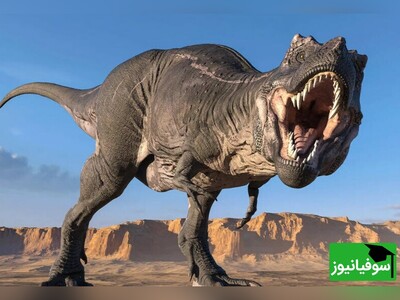 (ویدئو) تولید دایناسور از DNA تمساح!/ سوال ترسناک با جوابی ترسناک‌تر از رئیس پژوهشگاه رویان