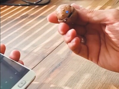 (ویدئو) وقتی هنر و تکنولوژی در هم می‌آمیزد/ ایده خارق‌العاده‌ی یک هنرمند برای ساخت اسپیکر  از پوست گردو / این کاردستی خارق‌العاده را از دست ندهید!