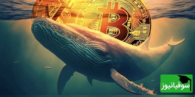 پول‌های بزرگ به سمت این ارز دیجیتال سرازیر شد؛ نهنگ‌ها چه چیزی می‌دانند که ما نمی‌دانیم؟