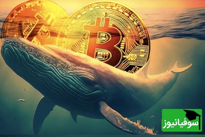 پول‌های بزرگ به سمت این ارز دیجیتال سرازیر شد؛ نهنگ‌ها چه چیزی می‌دانند که ما نمی‌دانیم؟