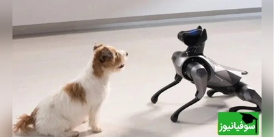 (ویدیو) ربات‌های سگ جنجالی با سر ایلان ماسک و مارک زاکربرگ در میامی فضای مجازی را منفجر کردند!/ اگه ورژن ترامپ رو بسازن بازار منفجر میشه😂