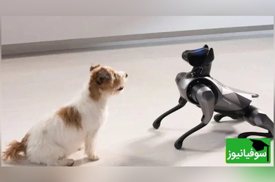 (ویدیو) ربات‌های سگ جنجالی با سر ایلان ماسک و مارک زاکربرگ در میامی فضای مجازی را منفجر کردند!/ اگه ورژن ترامپ رو بسازن بازار منفجر میشه😂