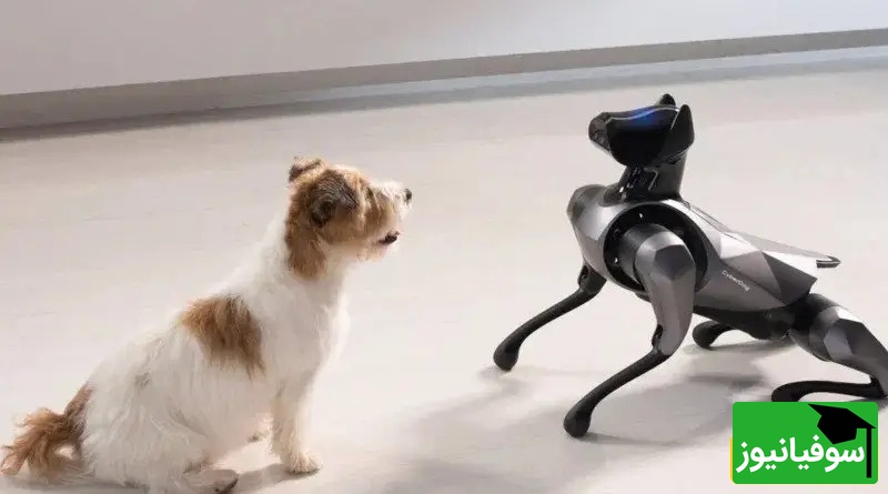 (ویدیو) ربات‌های سگ جنجالی با سر ایلان ماسک و مارک زاکربرگ در میامی فضای مجازی را منفجر کردند!/ اگه ورژن ترامپ رو بسازن بازار منفجر میشه😂