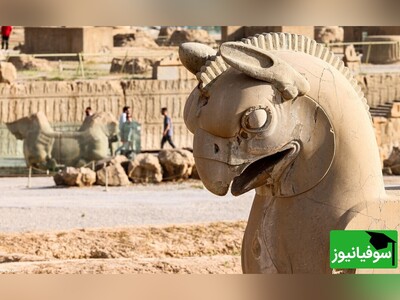 تهدیدی جدید در کمین بقایای بنای باستانی "تخت‌جمشید"/ گلسنگ‌ها، نقوش برجستۀ باشکوه‌ترین اثر تاریخی ایران را نابود می‌کنند