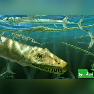 دانشمندان در چین به فسیل خزنده‌ای 240 میلیون ساله دست یافتند + عکس