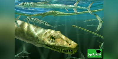 دانشمندان در چین به فسیل خزنده‌ای 240 میلیون ساله دست یافتند + عکس