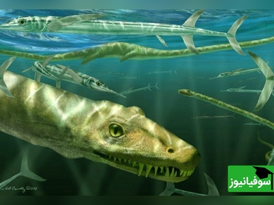 دانشمندان در چین به فسیل خزنده‌ای 240 میلیون ساله دست یافتند + عکس