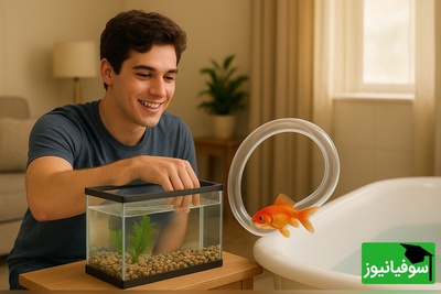 (فیلم) ابتکار خندهدار جوان ایرانی در ایجاد سرزمین موجهای آبی برای ماهی قرمز آکواریومش حسابی طرفدار پیدا کرد؛ به همین وقت عزیز تفریح این از من بیشتره😂