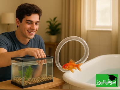 (فیلم) ابتکار خنده‌دار جوان ایرانی در ایجاد سرزمین موجهای آبی برای ماهی قرمز آکواریومش حسابی طرفدار پیدا کرد؛ به همین وقت عزیز تفریح این از من بیشتره😂