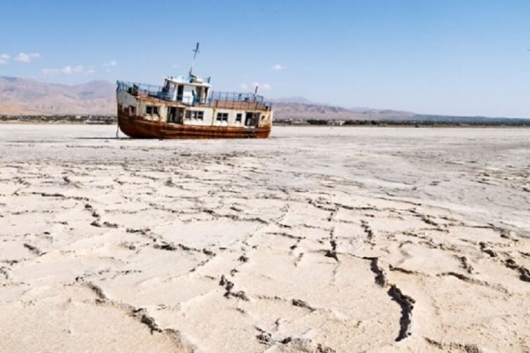 هفتمین کمیسیون کشاورزی آذربایجان شرقی در دانشگاه مراغه برگزار شد