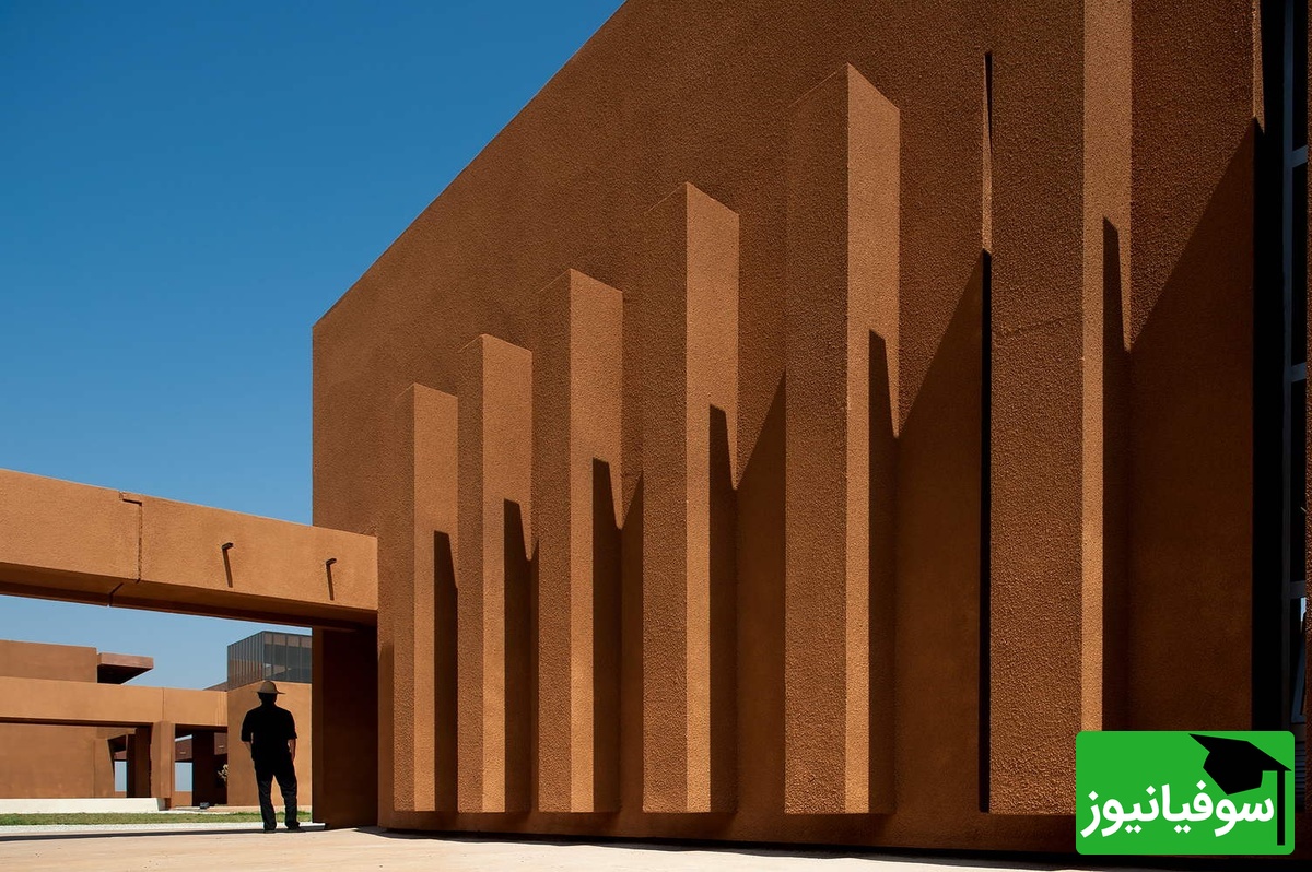 دانشگاه تارودانت