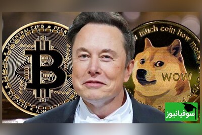 رازهای استخراج «دوج‌کوین» فاش شد!/ آموزش کامل ماینینگ Dogecoin از صفر تا صد برای رسیدن به درآمد دلاری 💸