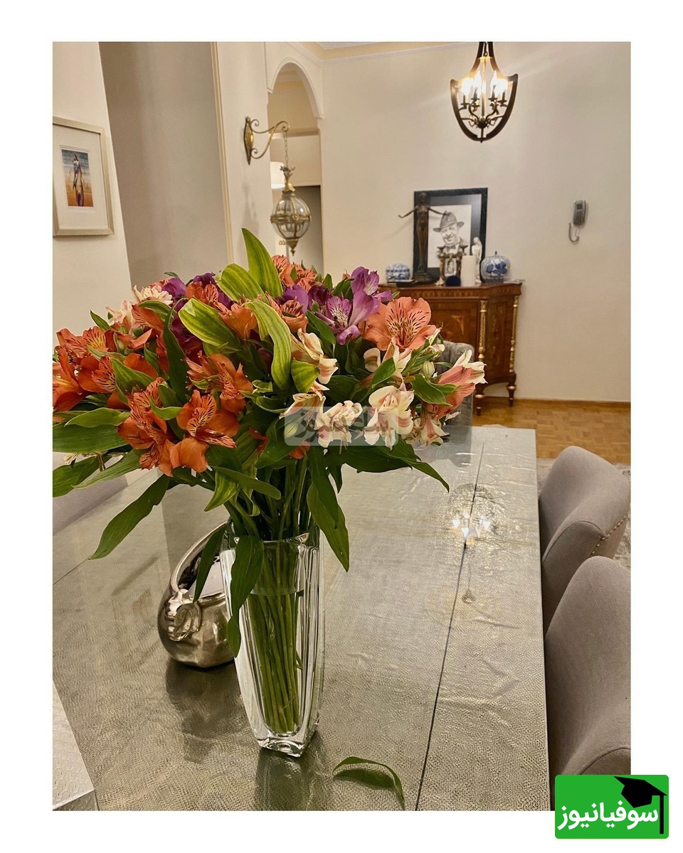 چیدمان منزل علی اوجی و نرگس محمدی