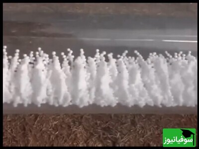 (ویدئو) رقص توپ‌های فومی با امواج صدا / چگونه فرکانس‌های مختلف، آن‌ها را به چالش می‌کشد؟!