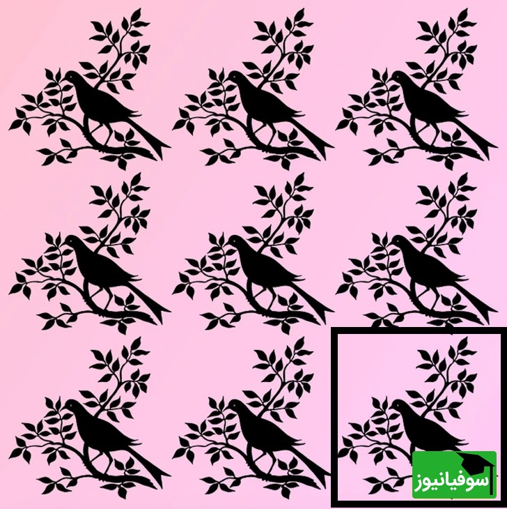 پاسخ تست هوش