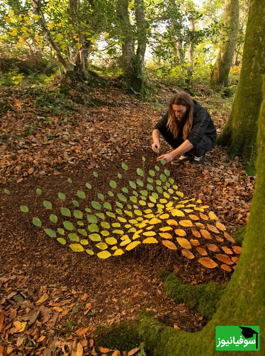 فلوئنتم کولوس، لیتِل میلفورد، ولز