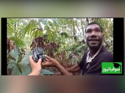 (ویدئو) شور و شوق وصف‌ناپذیر و عکس‌العمل دیدنی دو دانشمند وقتی فهمیدن به طور اتفاقی از یه پرندهٔ خاص 140 ساله عکس گرفتن!