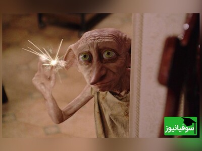 ویدیو/ دلسوزی جالب "جن‌ خانگی" برای دانشجوی بدبختِ شبِ امتحانی/ جن نیست که لعل و جواهره، کاش امتحان رو هم خودش می‌داد