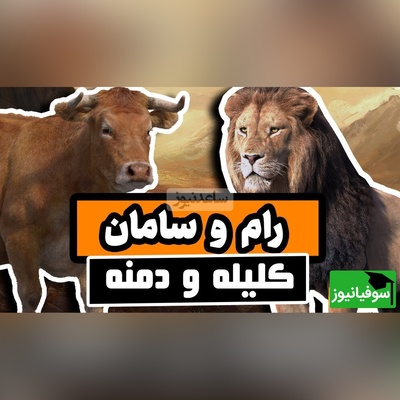 (ویدئو) حکایت عبرت آموز کلیله و دمنه درباره‌ی حسادت و دهن‌بین بودن؛ چگونه یک شغال پایان یک دوستی ابدی شد؟!