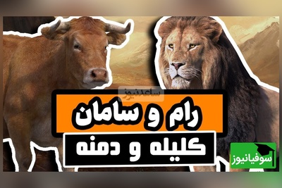 (ویدئو) حکایت عبرت آموز کلیله و دمنه درباره‌ی حسادت و دهن‌بین بودن؛ چگونه یک شغال پایان یک دوستی ابدی شد؟!