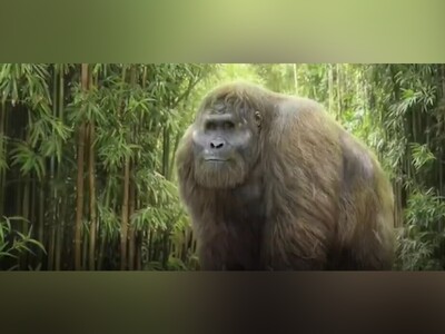 ویدئو/ کشف کوچکترین گونه از میمون‌های عظیم الجثۀ آلمانی