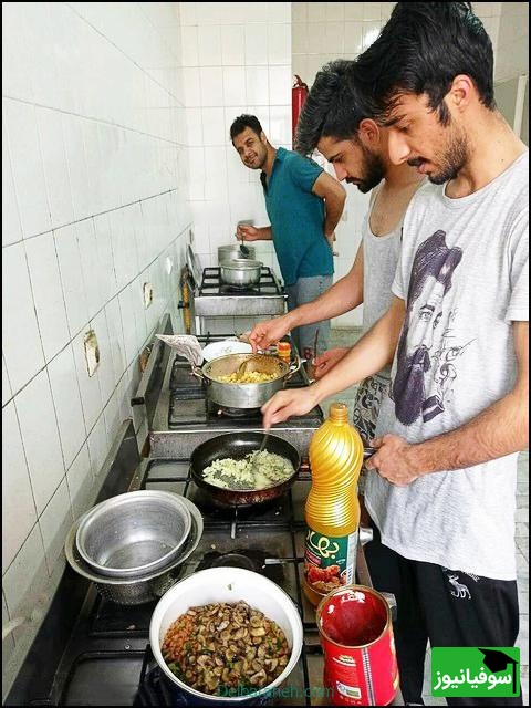 تدبیرِ دانشجویی برای مقابله با "خفاشِ آشپزخانه"!  + عکس