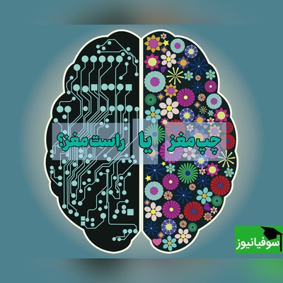 تست جالب برای اینکه بدانید راست مغزید یا چپ مغز؛ آزمونی جالب برای اینکه بدانید اهل استدلال و منطق هستید یا اهل تخیل و خلاقیت