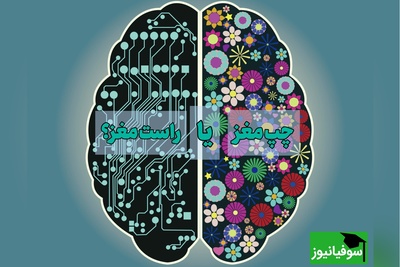 تست جالب برای اینکه بدانید راست مغزید یا چپ مغز؛ آزمونی جالب برای اینکه بدانید اهل استدلال و منطق هستید یا اهل تخیل و خلاقیت
