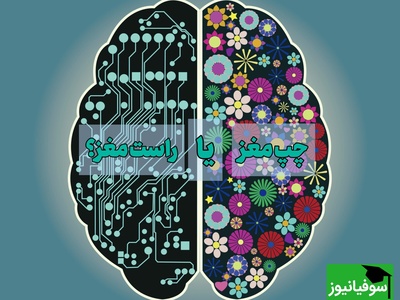 تست جالب برای اینکه بدانید راست مغزید یا چپ مغز؛ آزمونی جالب برای اینکه بدانید اهل استدلال و منطق هستید یا اهل تخیل و خلاقیت