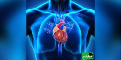 (ویدئو) شگفتی غیرقابل باور در سیستم کاری قلب/ خسته‌نباشی دلاور...