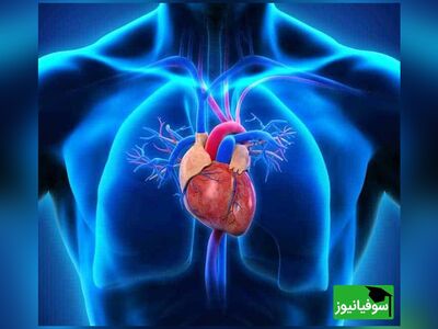 (ویدئو) شگفتی غیرقابل باور در سیستم کاری قلب/ خسته‌نباشی دلاور...