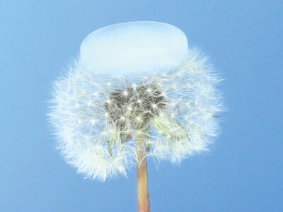 (ویدیو) آیروژل سبک‌ترین ماده جامد جهان که اختراع آن علم را به پیش راند