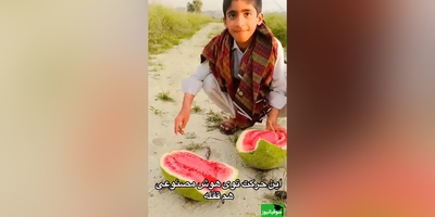 زنگ خلاقیت: ابتکار خنده‌دار پسر زاهدانی در برش هندوانه حماسه‌ای آفرید جهانی/بفرما تکنولوژی وطنی😂
