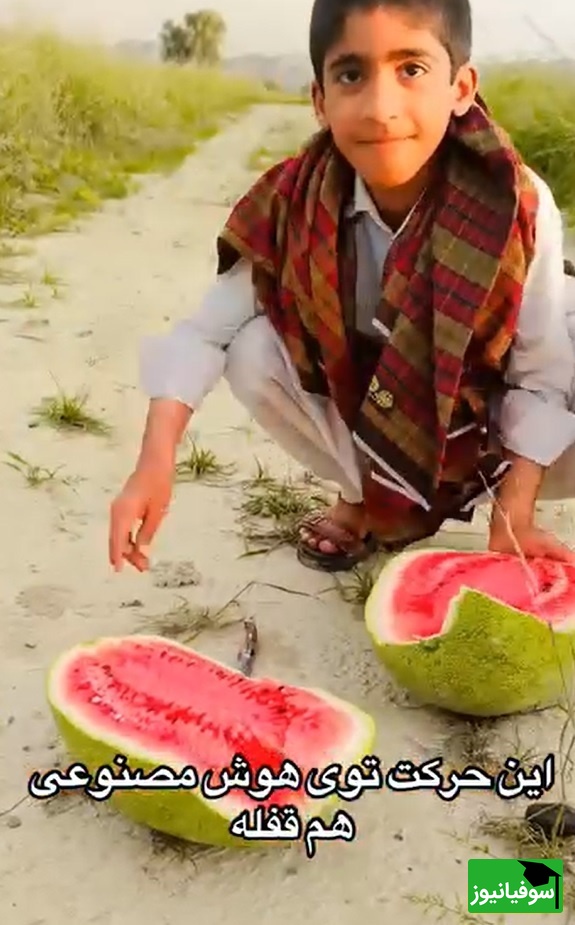 زنگ خلاقیت: ابتکار خنده‌دار پسر زاهدانی در برش هندوانه حماسه‌ای آفرید جهانی/بفرما تکنولوژی وطنی😂